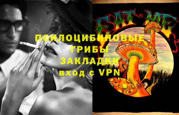 меф Белокуриха