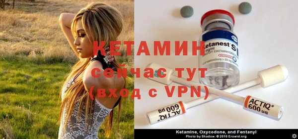 индика Богородицк