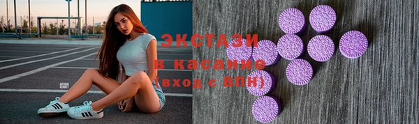 индика Богородицк
