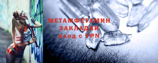 индика Богородицк