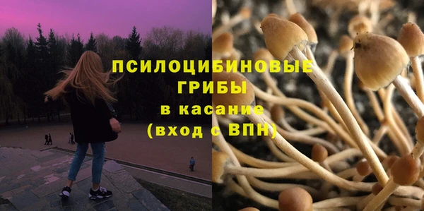 гидропоника Богородск