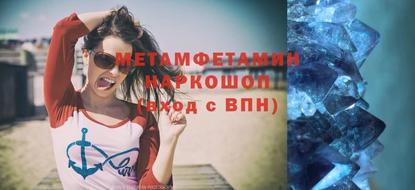 индика Богородицк